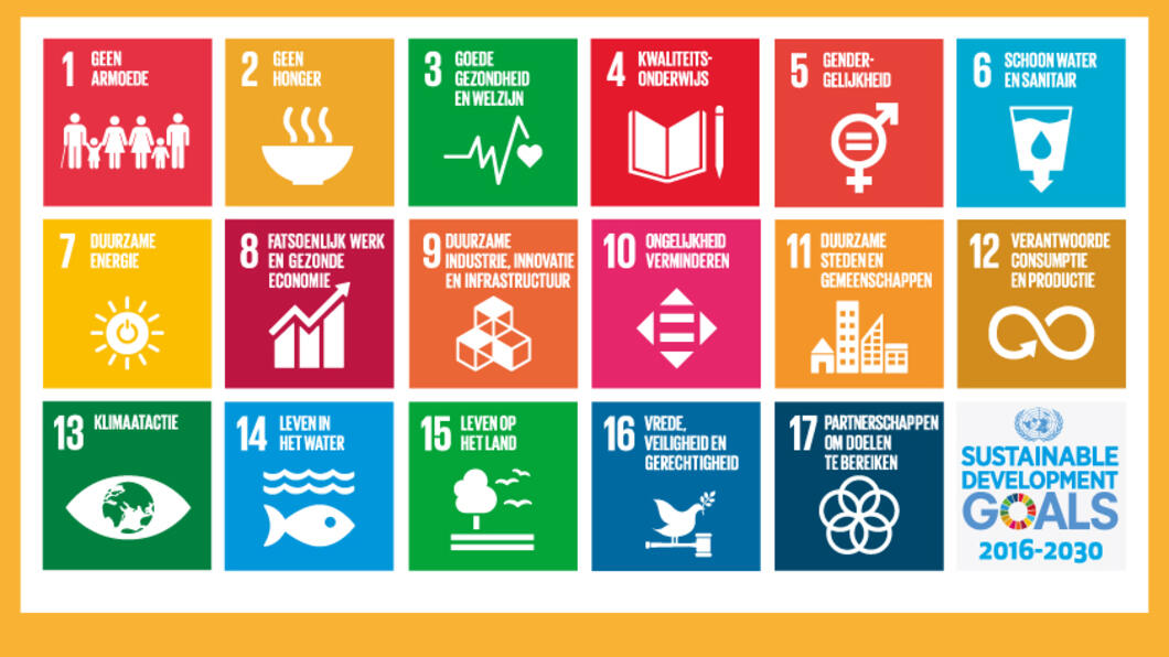 De 17 global goals 